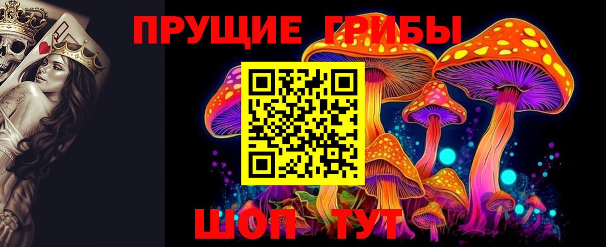 Будённовск  Псилоцибиновые грибы прущие грибы  Вход с VPN 